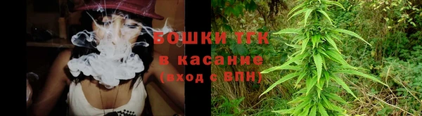 сатива Богородицк