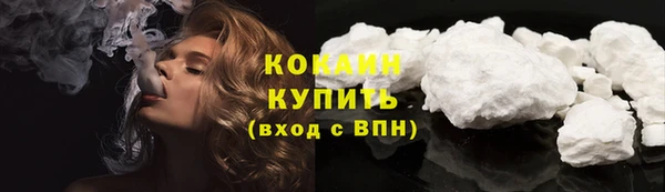 сатива Богородицк