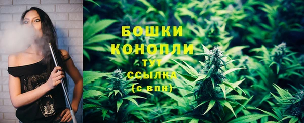 сатива Богородицк