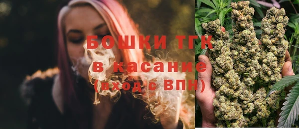 сатива Богородицк