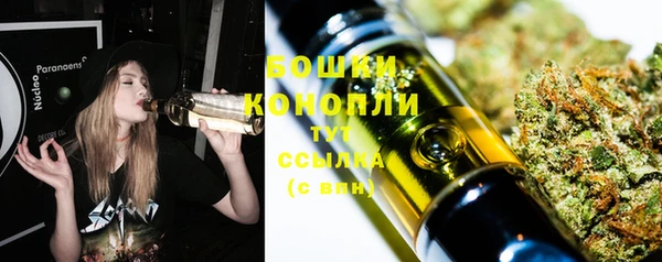 сатива Богородицк