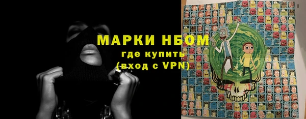 сатива Богородицк